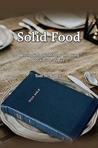 Solid Food (cover)
