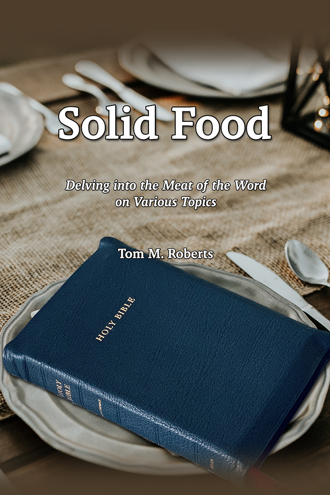 Solid Food (cover)