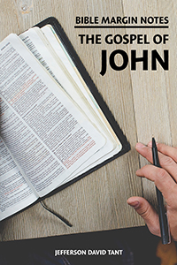 Bible Margin Notes: The Gospel of John (cover)