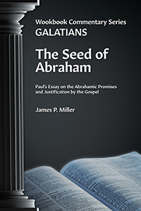 The Seed of Abraham (Workbook Commentary Series: Galatians) (cover)