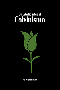 Un Estudio sobre el Calvinismo (cover)