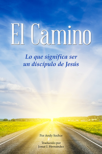 El Camino (cover)