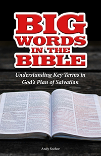 Big Words in the Bible (cover)